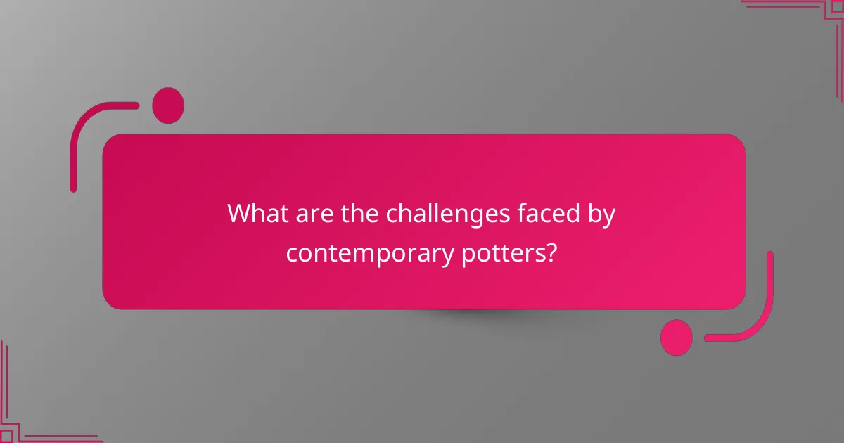 What are the challenges faced by contemporary potters?