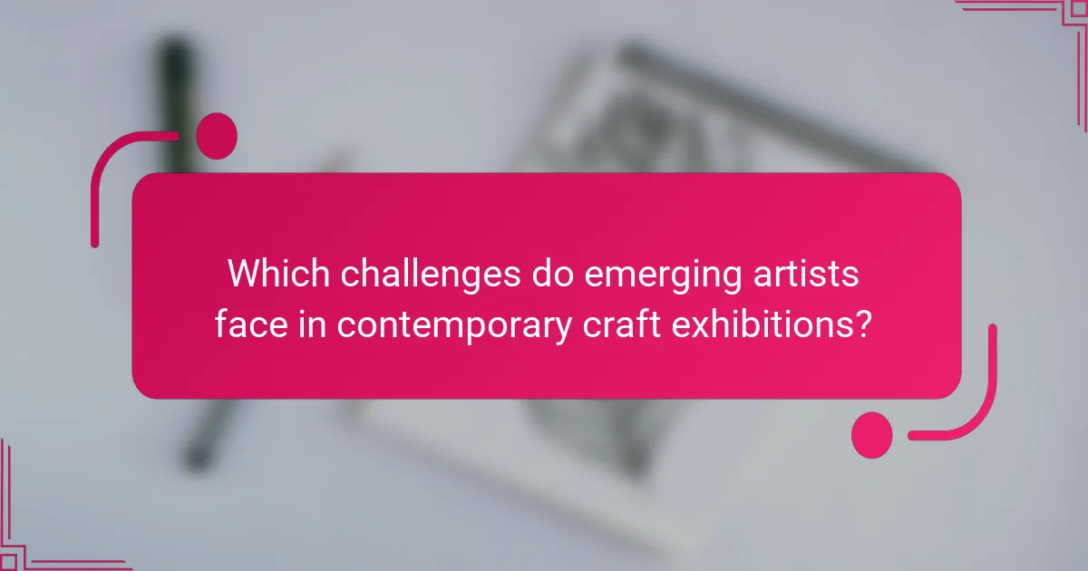 Which challenges do emerging artists face in contemporary craft exhibitions?